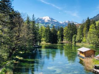 Forellensee UNIQUE TinyHotels - Zweisimmen - 9