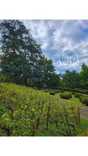 Castel Novel Cottage - Varetz - 8