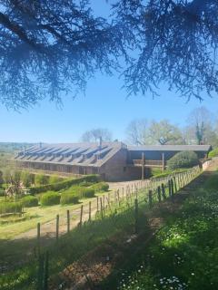 Castel Novel Cottage - Varetz - 7