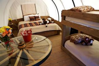 Unforgettable Glamping Getaways in this Covered Wagon in Moore, Oklahoma - 5