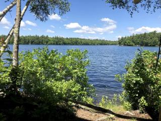 Waterfront Safari Tent for Memorable Nature Escapes in Naples, Maine - Naples - 6