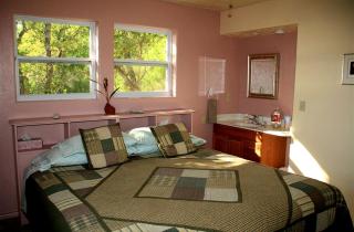 Pet-Friendly Cottage on Buchanan Lake near Marble Falls, Texas - Burnet - 8