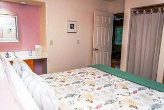 Pet-Friendly Cottage on Buchanan Lake near Marble Falls, Texas - Burnet - 5