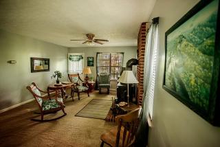Family-Friendly Cabin Rental with River Views near Knoxville - Greeneville - 5