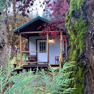 Cozy Studio-Style Cabin for a Glamping Getaway in Clearwater, Oregon - Idleyld Park - 9