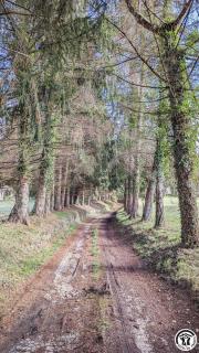 L'ouastadet - 6