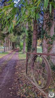 L'ouastadet - 5