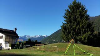 Les narcisses - Cier-de-Luchon - 0