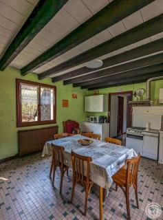 Les narcisses - Cier-de-Luchon - 6