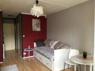 Studio opposite Thermes and Casino - Royat - 3