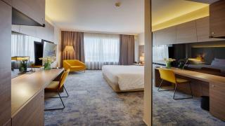 Radisson Blu Plaza Hotel Ljubljana - Liubliana - 9