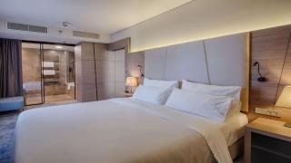 Radisson Blu Plaza Hotel Ljubljana - Liubliana - 4
