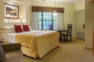 Enjoy Branson in a great 1BD condo with resort amenities including mini-golf - Branson - 2