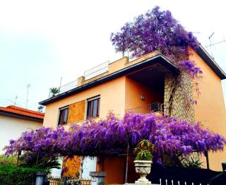Orange Garden - Minturno - 5