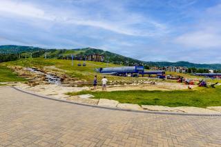 Torian Plum Plaza 204 - 7