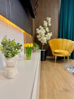 Cozy Flat - Baia Mare - 5