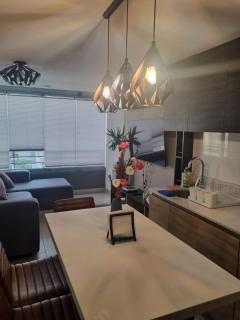 Beautiful apartment in Santiago de Chile - Santiago - 1