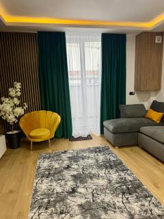 Cozy Flat - Baia Mare - 6