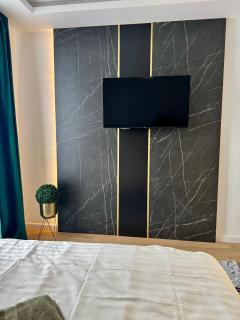Cozy Flat - Baia Mare - 1