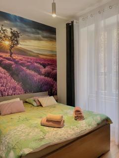 L'universal Provençal au coeur de Mulhouse - Mulhouse - 5