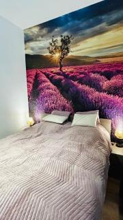 L'universal Provençal au coeur de Mulhouse - Mulhouse - 4