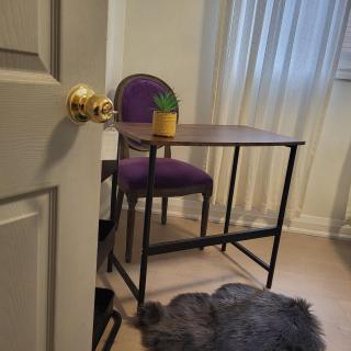 Corman Guesthouse - Hamilton - 9