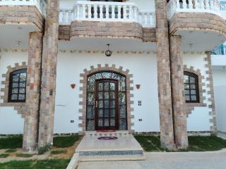 Palm Guest House Luxor - Luxor - 3