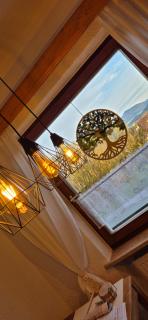 Green Home - Furth im Wald - 6