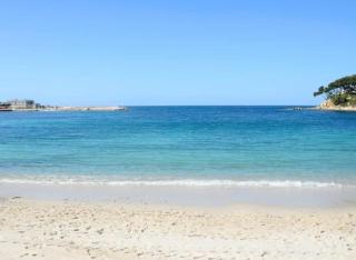 Le Sémillon - Bandol - 7