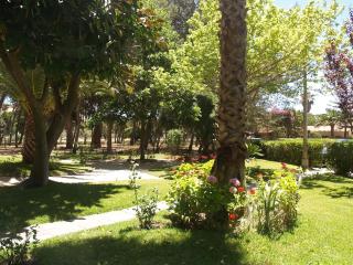 Exclusive beachfront house - Almada - 4