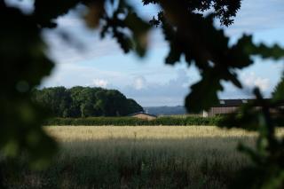 The Cattleyard, Rushmere Farm - Hambledon - 1