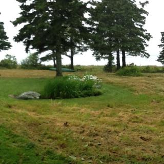 The Barnacle Cottage near Acadia - Bernard - 4