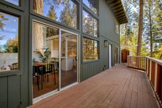 Glass Cabin Under the Pines | Hot Tub • Seclusion - 3