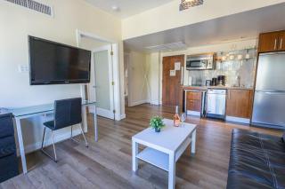 Beautiful 1 Bedroom with Rooftop Pool D203 - 1