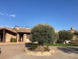 L'Olivera - BENABARRE - Benabarre - 4