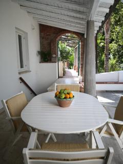Un'oasi tra i limoni - Naso - 9