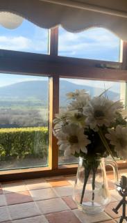 Yewwood Cottage - Newry - 6