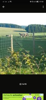 Eselhof Mobilheim - - 7