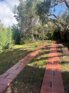 Villa Torres - Los Llanos de Aridane - 9