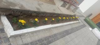 gultuk homestay airport road skalzangling leh ladakh - Leh - 2