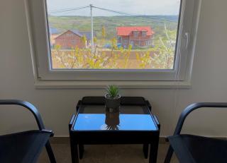 Sova Apartments - Peaceful Apartment with garden - Belgrade - 3