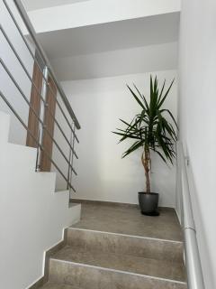 Sova Apartments - Peaceful Apartment with garden - Belgrade - 6