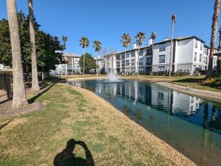 The Mid-Century Modern - 2