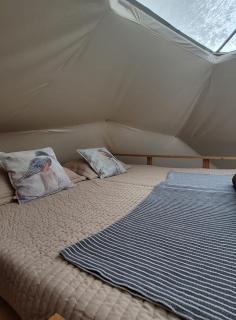Glamping in the middle of nature and ocean view - Punta Arenas - 1