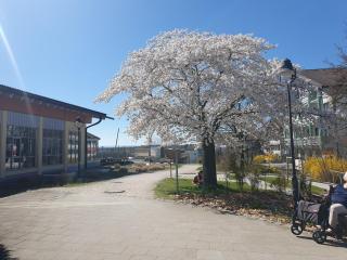 Ferienwohnung Rositta - 3