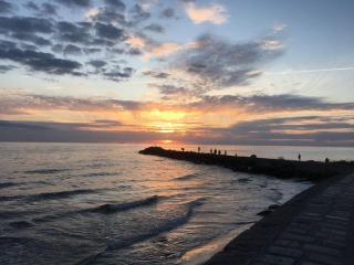 Liten lya i Falsterbo - 7