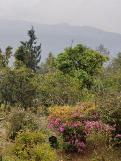 Kousani Naranga Farmstay-Kagey - 4