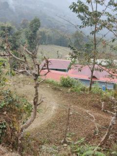 Kousani Naranga Farmstay-Kagey - Pedong - 2