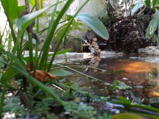 Unawatuna Villa Bird Nest - 2