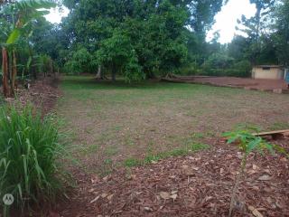 Andy's home stay Masindi - 2